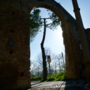 cesena_collina_200_200.png 